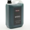 SINTOFLON SHAMPOO ACIDO MINERAL 2L